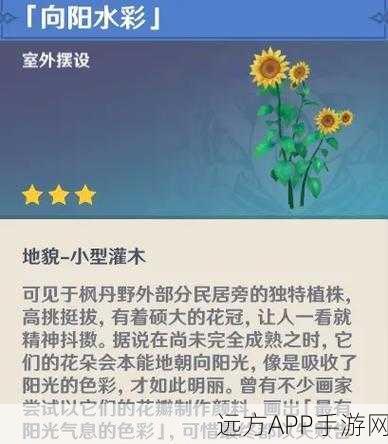 尘歌壶摆放大赛全解析，原神手游创意布局秘籍，解锁新手至大师级蜕变