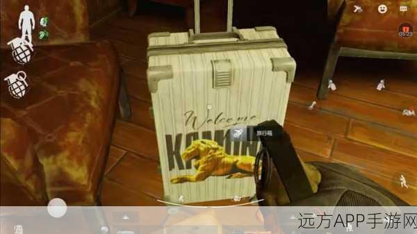 暗区突围，高效获取扩展箱秘籍，实战攻略与技巧大揭秘