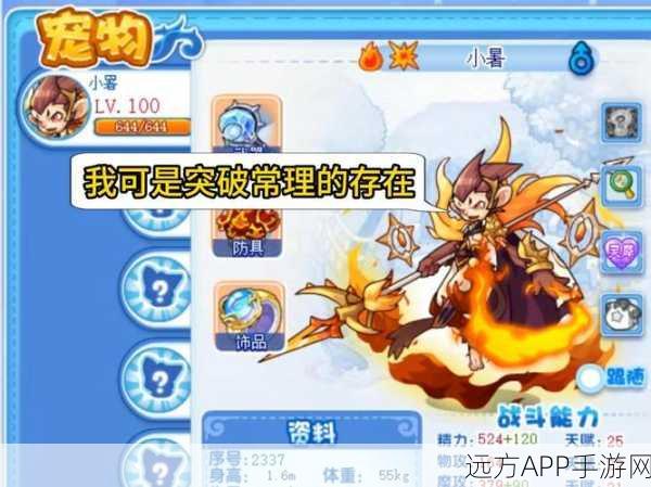 洛克王国记忆瓶制作全攻略,解锁稀有宠物与丰厚奖励秘籍