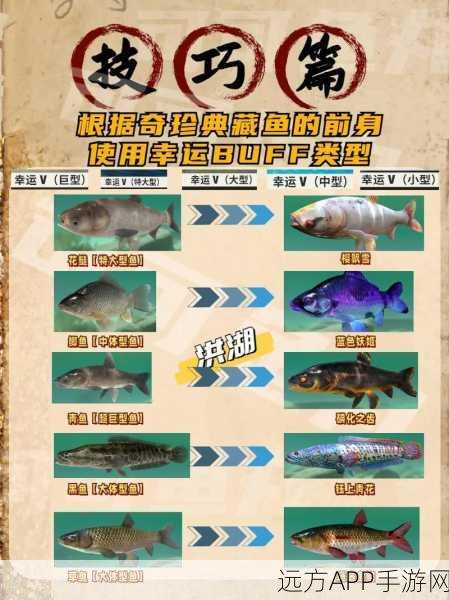 钓鱼大师速成秘籍，新手必看，解锁钓鱼大赛冠军之路