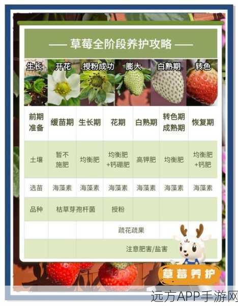 手游资讯，创造与魔法草莓成长大赛，揭秘草莓种植秘籍！