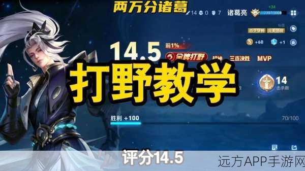 王者荣耀深度剖析，诸葛亮技能运用与实战策略全揭秘