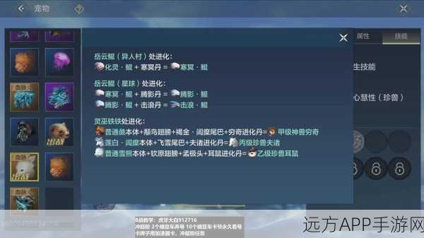 妄想山海深度攻略,解锁元素宠物收集秘籍
