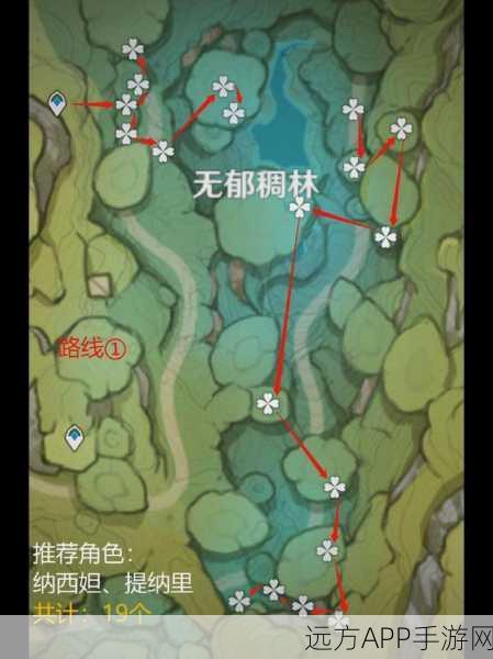 原神玩家必看！树王圣体菇高效采集路线全揭秘，助你快速升级！