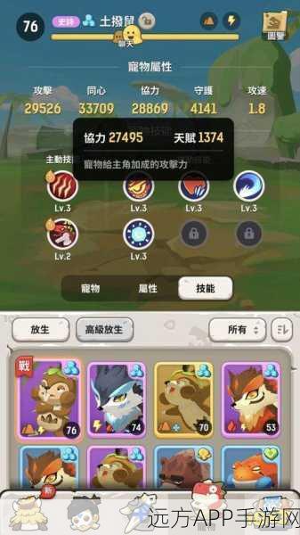 不休的乌拉拉术士职业深度解析，技能搭配与实战攻略