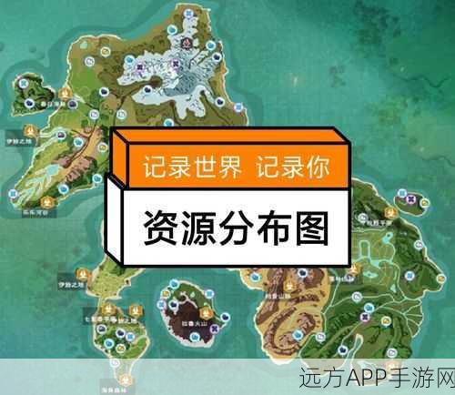 探寻创造与魔法橙色小花秘境，最佳采集地点揭秘