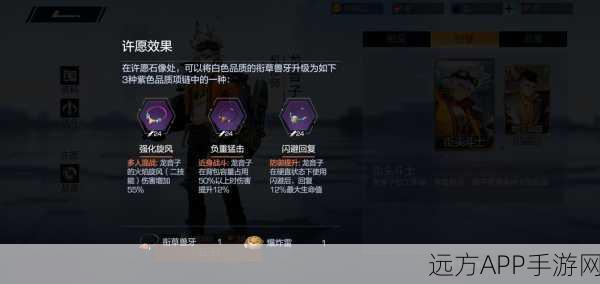 风云岛行动深度解析，猎风角色全攻略，装备、属性与技能大揭秘