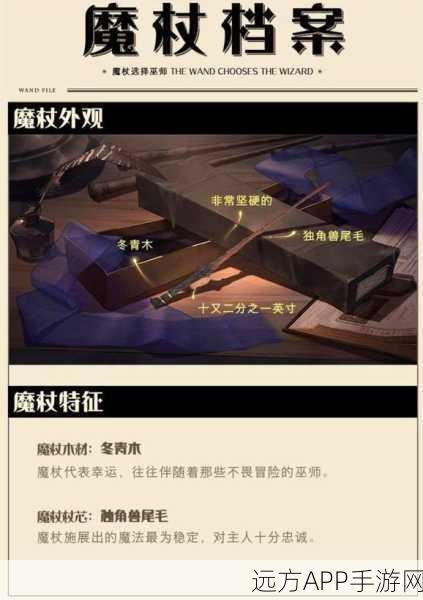 哈利波特，揭秘！榆木独角兽尾毛魔杖的真正主人是谁？