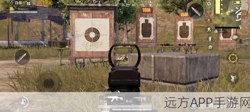 和平精英高手秘籍，陀螺仪压枪后，枪械状态复原全攻略