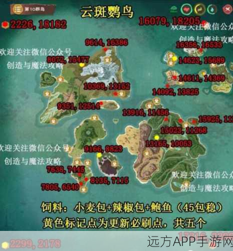 手游新探索,创造与魔法鹦鸟饲料保底攻略大揭秘