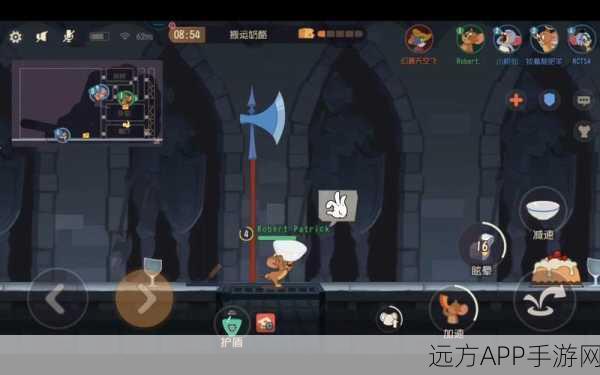 雪夜古堡猫鼠奇遇记,揭秘神秘盖板下的奇幻冒险赛