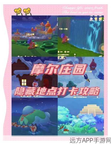 摩尔庄园揭秘，骑士训练营古老石门开启攻略与精彩赛事预告