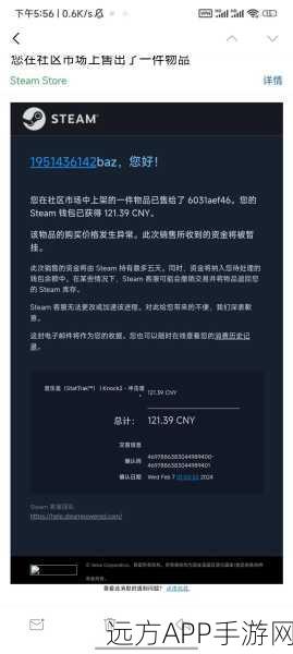 Steam交易暂挂机制详解，快速查询与应对策略
