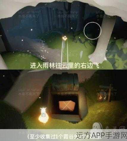 光遇集结季新图揭秘,树屋光之翼全位置攻略,搭配高清地点图助你轻松收集