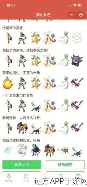 口袋妖怪，揭秘漆黑魅影性格代码，打造最强精灵战队！