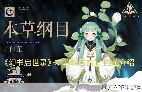 幻书启世录3-12高效通关秘籍，策略与技巧大揭秘