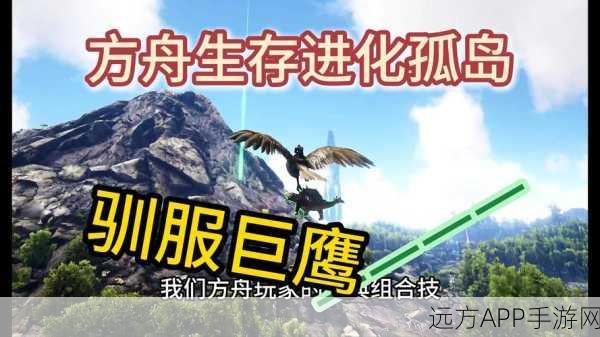 方舟手游深度探索,黄昏鸟特性揭秘与高效驯养秘籍