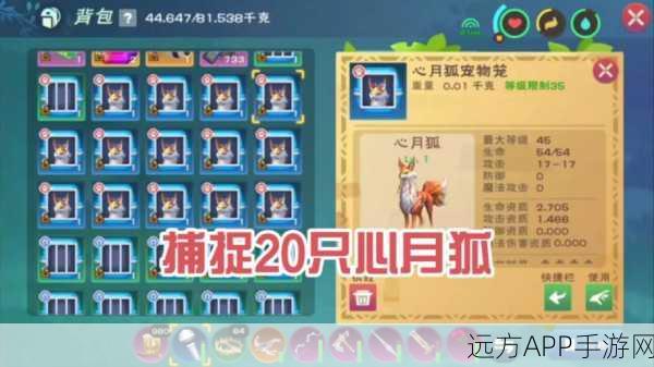 探秘创造与魔法,心月狐出没的神秘坐标全揭秘