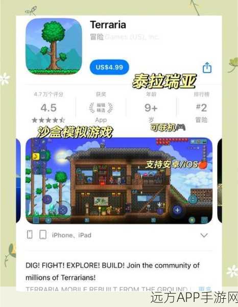 泰拉瑞亚探险新篇章,揭秘隐秘奇兵与隐藏武器宝库全攻略