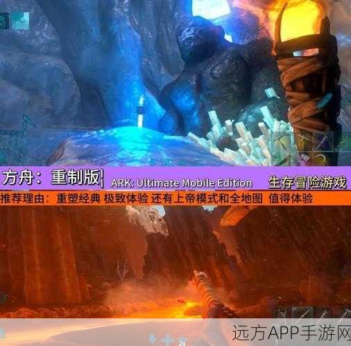 手游新纪元，方舟，进化生存新手进阶指南，从零打造生存大师传奇