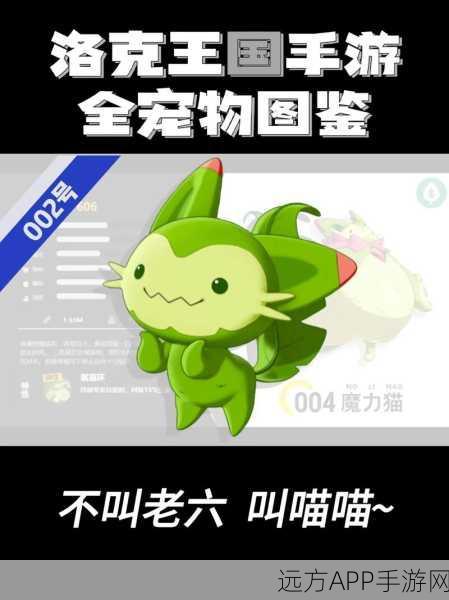 洛克王国喵喵超进化全攻略，解锁神秘力量的秘诀