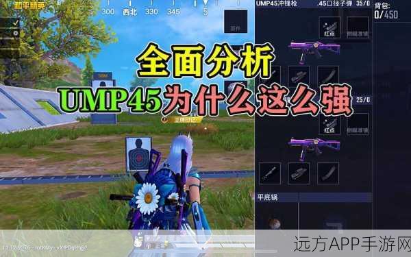 UMP45制霸和平精英战场，实战技巧与比赛细节全揭秘