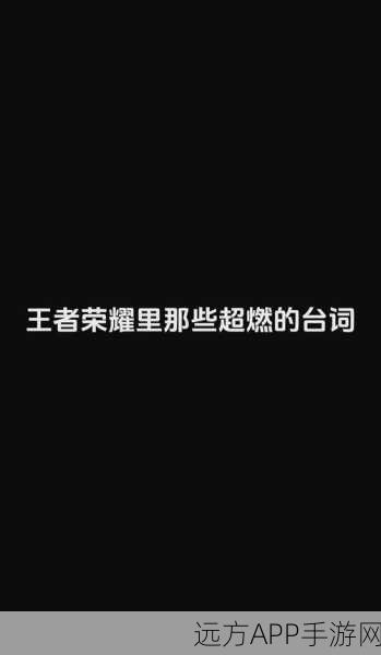 王者荣耀，解决王者时刻无法使用问题，助你记录精彩瞬间