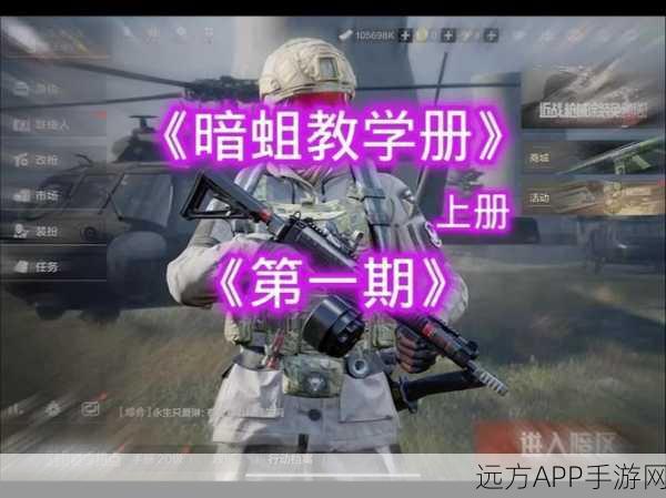 暗区突围高手秘籍,深度揭秘身份牌高效获取策略与实战技巧