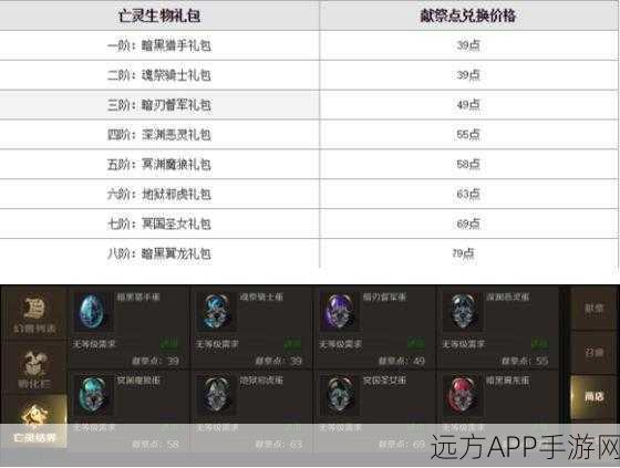魔域亡灵巫师技能全解析,掌控亡灵的终极奥义