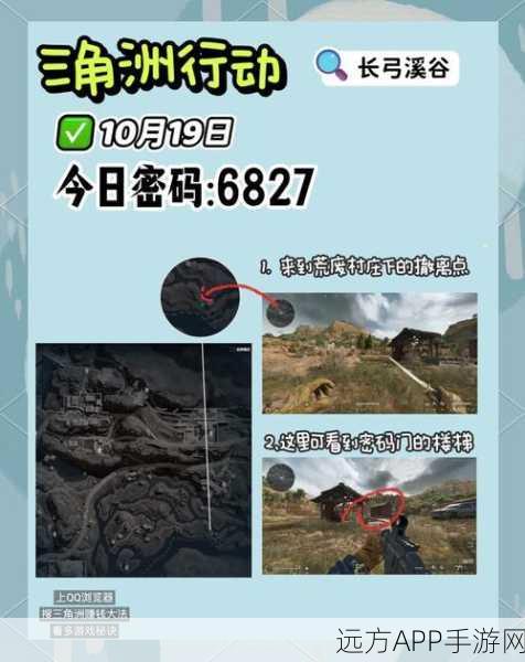 三角洲行动高手揭秘,大卫·费莱尔的卓越表现与实力剖析