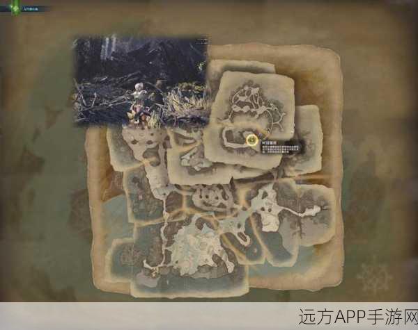 探秘怪物猎人,世界——森之古代龙人隐藏位置全解析