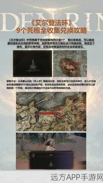 艾尔登法环深度攻略,揭秘狗刀终极配置与隐秘获取途径