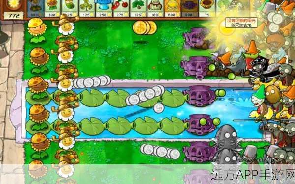 植物大战僵尸，揭秘金盏花色彩世界的魅力与隐藏挑战