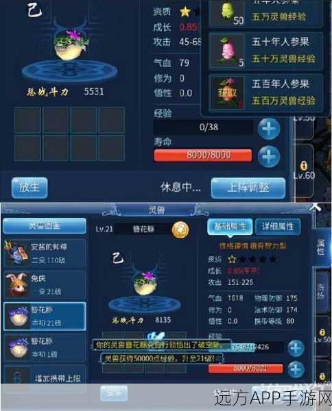 倩女幽魂手游，灵兽技能书全攻略，资源高效管理秘籍大公开