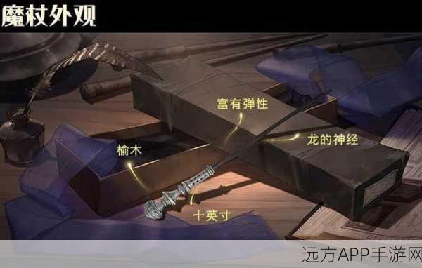 哈利波特,魔法觉醒——揭秘冬青木独角兽毛魔杖的真正主人