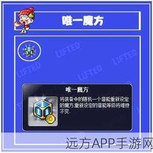 冒险岛探险遇阻，揭秘邮箱验证失败的背后真相