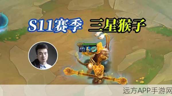 云顶之弈新版猴子,为何成吐槽之王?深度解析与实战策略
