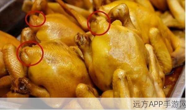 大唐游仙记,烹饪秘籍大公开,打造舌尖上的仙侠世界