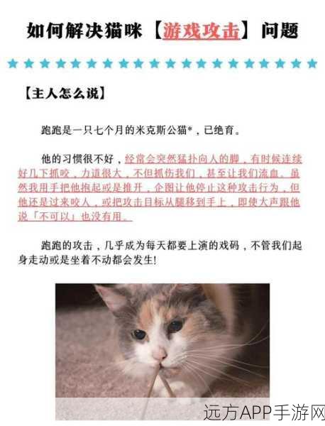 恐怖猫宠逃脱,趣味休闲的极限逃生挑战手游深度解析