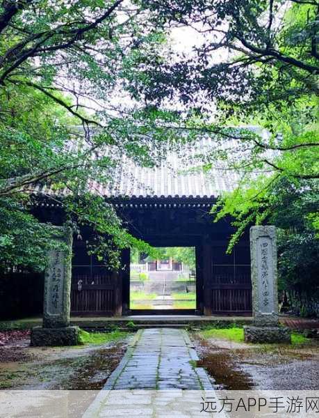 烟雨江湖探秘,揭秘屋山神秘入口与探险攻略