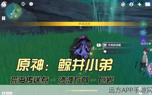 原神鲸井御殿流手鞠术成就深度攻略,解锁技巧、隐藏细节与高分秘籍