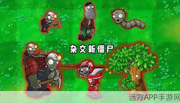 CF手游僵尸模式全揭秘，探索各类僵尸背后的故事