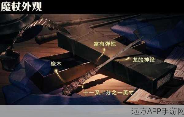 哈利波特魔法觉醒,接骨木魔杖终极获取秘籍,解锁魔法世界新篇章