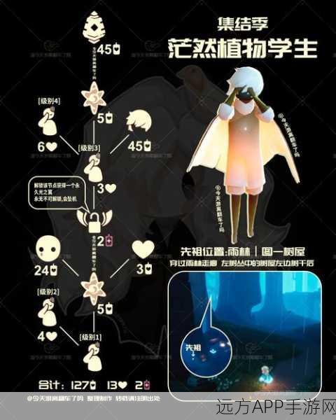 光遇角色名字背后的故事，探寻命名灵感与深层含义