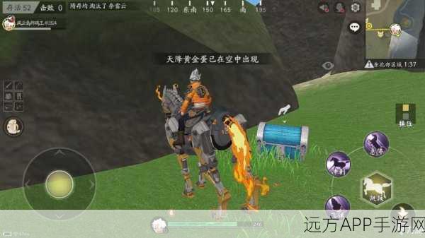 揭秘风云岛行动,顶尖玩家手中的游戏辅助神器