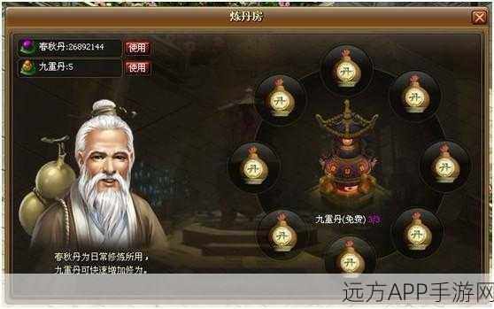 傲世九重天手游，最新境界排名大揭秘，强者争霸赛细节曝光！