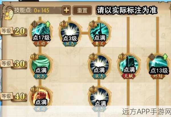 航海王热血航线,鹰眼米霍克技能加点深度剖析与实战技巧