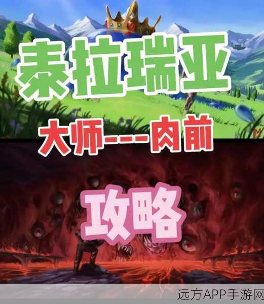 泰拉瑞亚空岛生存大赛，萌新至大师的肉前全攻略详解