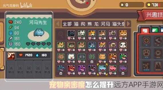 元气骑士宠物养成秘籍，精准喂食，解锁宠物超强战力！