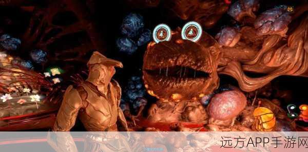 星际战甲深度攻略，揭秘赫明斯巢体解锁全攻略